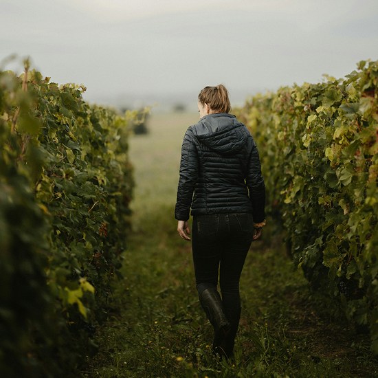 Prova Horizontal: Quando o Terroir Fala